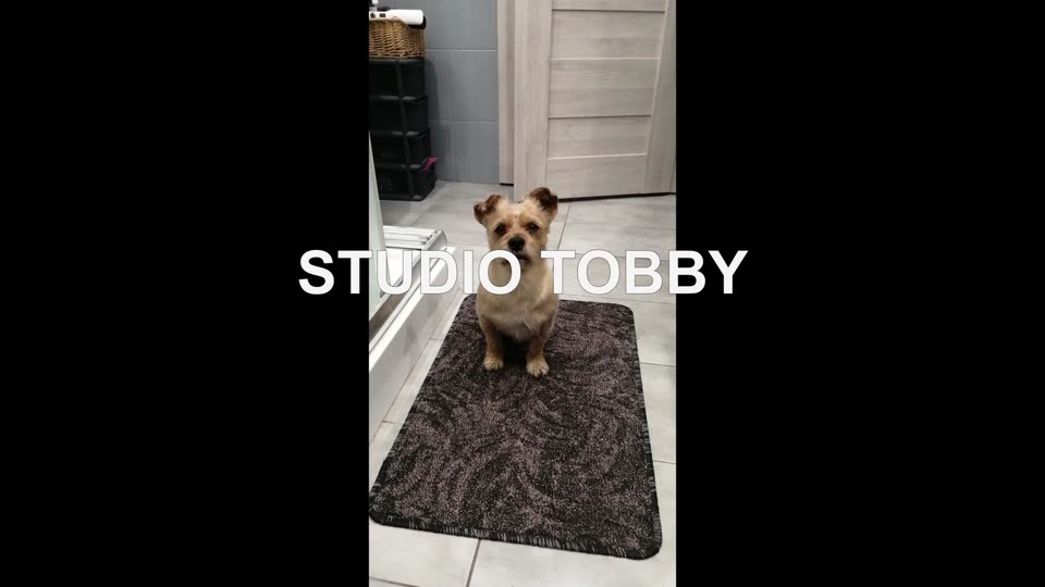 Miniatura filmu Tobby Foto Portfolio 2026